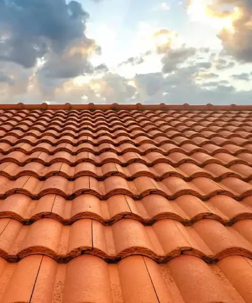 Roof Restoration Service Ashwood